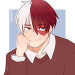 todoroki grup