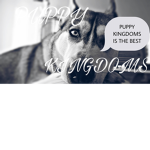 Puppy kingdoms