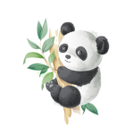 $Panda Squad$