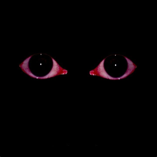 666 ... guest