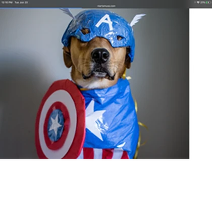 Dog veers Roblox group icon