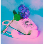 ☏ Moshi Moshi もしもし