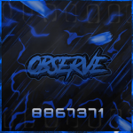 彡Observe