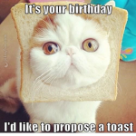 I want my toast back