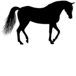 Unique Equine Equestrian Academy