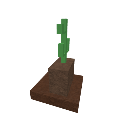Desert Decoration