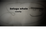 beluga whale county