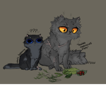 Cat foster group