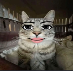 Roblox_nohaq8