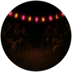 Corn Maze of Horror (Fall 2024)