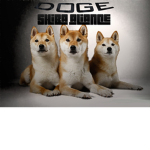 The Doges Alliance (TDA)
