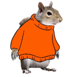 The squirrel sweater Group.