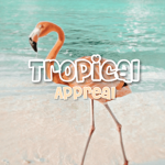 •Tropical Appreal•