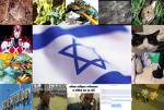 The worshipping cult of Bridger Rabbi(ts)