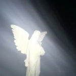 Heaven's Salvation