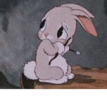 #Bunnys