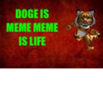 Doge is meme meme is life