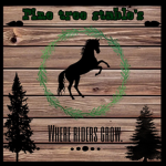 •{ Pine tree stable's }•