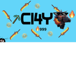 C14Y