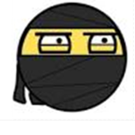 Toilet Ninjas