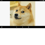 ################ doge group