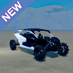 Can Am ATVs (Razers & Quads)