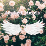 •_AESTHETIC ANGELS_•