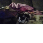 Bella loves oona