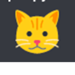 kitty meow meow meow bark woof