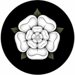 White Rose (白バラ)