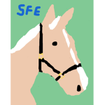 ~ Spring Falls Equestrian Centre ~