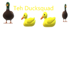 Save Teh Duck Squad!