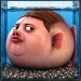 Fat Fish → icon