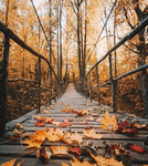 Autumns :3