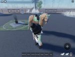 Academy of horses