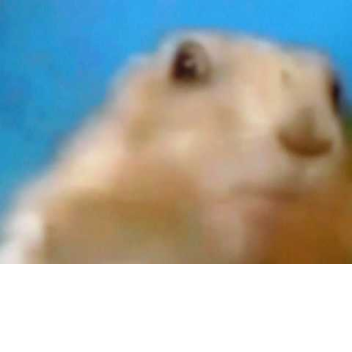 Ninjaoller3's Place Number: 12