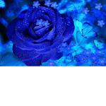 *~Rosy Blue~*