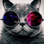 <3 Cat's Out of this World <3