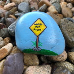The Healthy Rocks