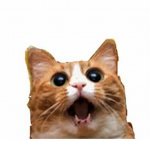 GamingBonnie_YT Fan group
