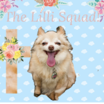 The Lilli Squad!