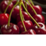 Cherry_plays group