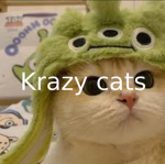 krazy cats