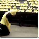 Doge army (rule we love cats)