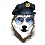 Husky boi