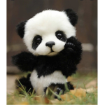 Panda membership