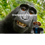 Orangutans Together