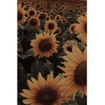 Liv's flower garden
