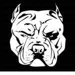 Mad Dog Studios +
