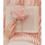 || Pink Flower ||